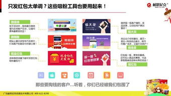 互联网食品营销解决方案 从策略到执行的全面指南