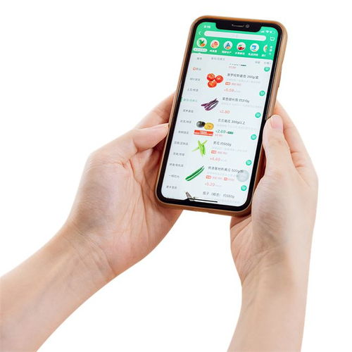 阿里巴巴关联企业成立上海菜划算公司，聚焦食品互联网销售加速抢占市场